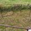 steel-round-bale-feeder-image-3