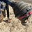 2021-jbs-vmec2448-3-manure-spreader---othello,-wa-image-11