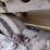 2019-caterpillar-d6k2-xl-image-16