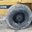 #4048-•-cat-compactor-image-11