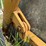 #45623-•-levee-packer-image-17