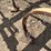 international-chisel-plow---othello,-wa-image-6