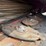 2019-massey-ferguson-wr9970-image-12