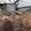 grain-bin---moses-lake,-wa-image-12