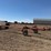custom-92'-sprayer---ritzville,-wa-image-3