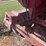 1992-royer-401-image-48