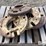 john-deere-40-image-8