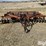 international-330-image-2