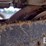 2015-deere-50g-image-36