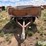 s/a-pickup-box-trailer-image-2