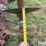 case-ih-496-image-16