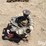 cummins-855-image-8