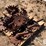 sunco-trash-whippers-image-4