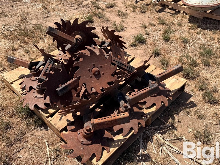 sunco-trash-whippers-image-4