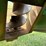 #45624-•-sukup-giant-grain-cart-image-22
