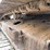 lot-details-coming-soon-image-20