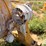 minneapolis-moline-800a-power-unit-image-14