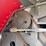 2022-massey-ferguson-2270-image-21
