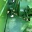 1936-john-deere-br-image-15