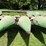 john-deere-8-image-26