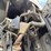2012-great-dane-trailer-image-41