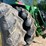 1998-john-deere-8400-image-5