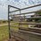 portable-livestock-loading-chute-image-9