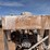 chevrolet-454-image-11