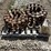 bobcat-310-image-6