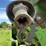 john-deere-8-image-30