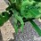 1956-john-deere-720-image-11