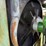 john-deere-4239t-image-33
