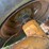#45623-•-levee-packer-image-9