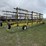 degelman-7000-image-3