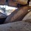 2016-bobcat-e50-image-32