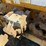 alloway-22-image-10