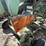 piler-image-5
