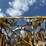 ag-chem-terra-gator-8104-image-15