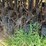 great-plains-solid-stand-20-image-17