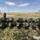 john-deere-694an-image-6