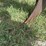 john-deere-e0090-image-18