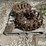 bobcat-310-image-8