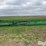 2011-john-deere-635f-image-6