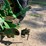 1998-john-deere-8400-image-8