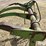 john-deere-2-image-11