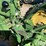 john-deere-b-image-17