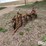 allis-chalmers-5-image-2