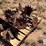 sunco-trash-whippers-image-3
