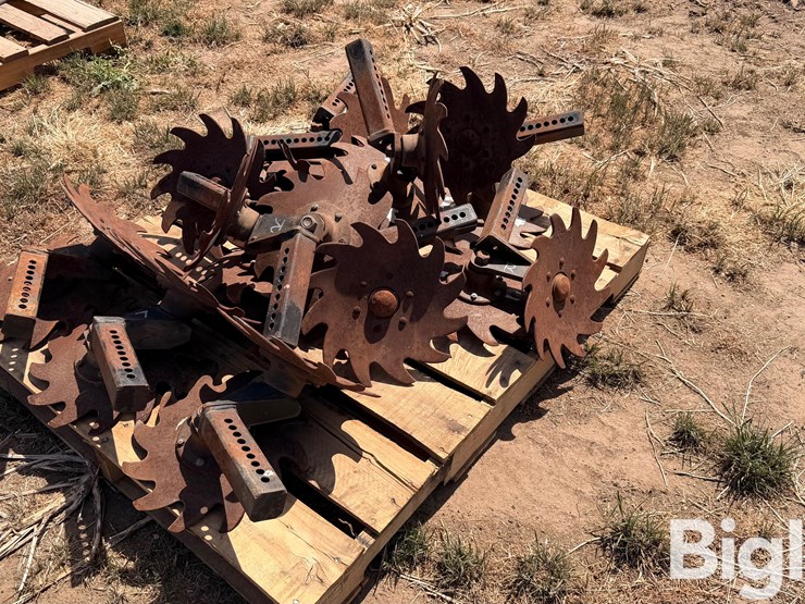 sunco-trash-whippers-image-3