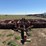 2005-parma-seed-bed-maker---prosser,-wa-image-4